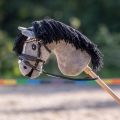 Oglowie-hobby-horse-qhp-sunset