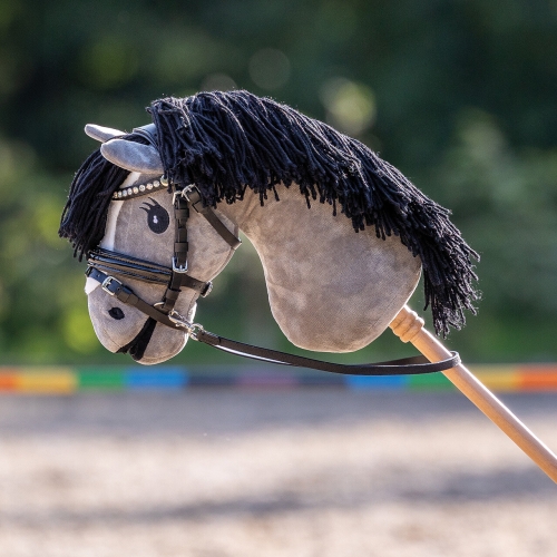 Oglowie-hobby-horse-qhp-sunset