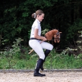 Oglowie-hobby-horse-qhp-sunset