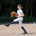 Oglowie-hobby-horse-qhp-sunset
