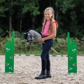 Oglowie-hobby-horse-qhp-sunset