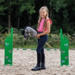 Oglowie-hobby-horse-qhp-sunset