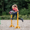 Oglowie-hobby-horse-qhp-sunset