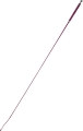 Bat ujeżdżeniowy Whip&Go Points