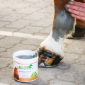 pol_pl_Mineralpaste-Stiefel-preparat-z-zielonej-gliny-na-stawy-miesnie-sciegna-i-wiezadla-glinka-chlodzaca.jpg