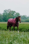 Derka padokowa Equi Theme Tyrex 1200 D High Neck 0g