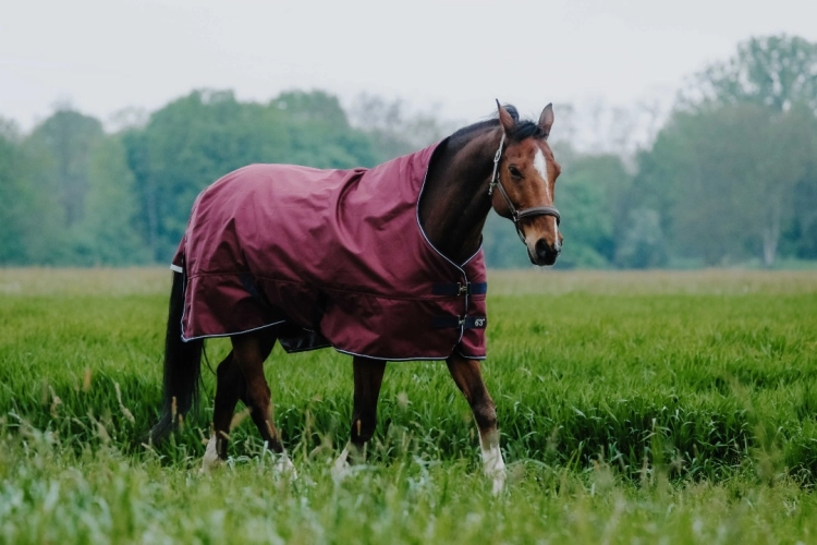 Derka padokowa Equi Theme Tyrex 1200 D High Neck 0g