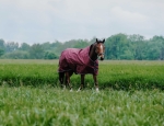 Derka padokowa Equi Theme Tyrex 1200 D High Neck 0g