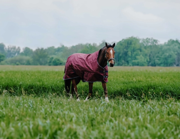 Derka padokowa Equi Theme Tyrex 1200 D High Neck 0g