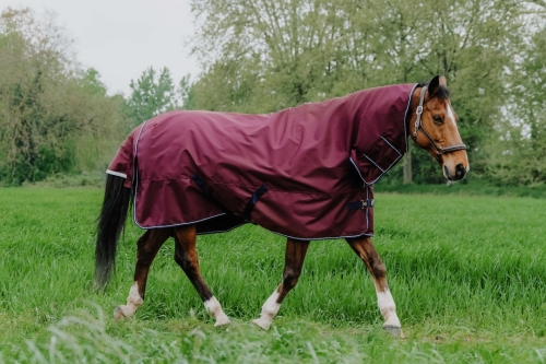 Derka padokowa z kapturem Equi Theme Tyrex 1200 D Combo 350g