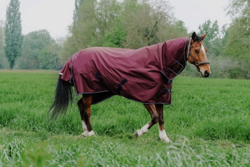 Derka padokowa z kapturem Equi Theme Tyrex 1200 D Combo 350g