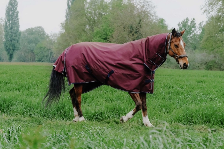 Derka padokowa z kapturem Equi Theme Tyrex 1200 D Combo 350g