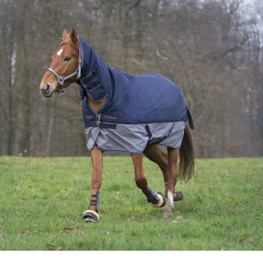 derka padokowa Equi Theme Tyrex 600 D Combo