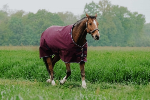 Derka padokowa Equi Theme TYREX 1200D 300g