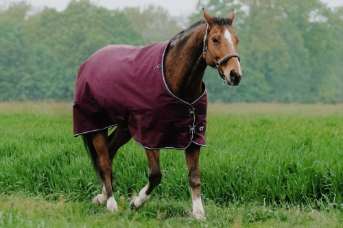 Derka padokowa Equi Theme TYREX 1200D 450g