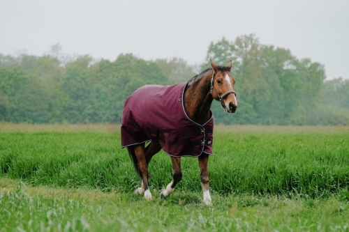 Derka padokowa Equi Theme TYREX 1200D 450g