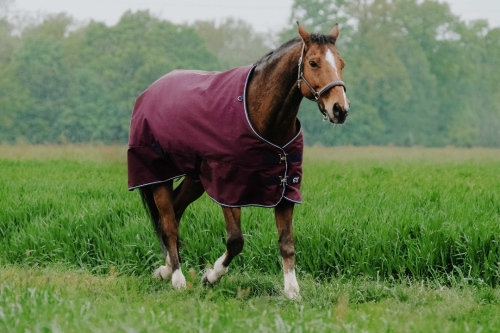 Derka padokowa Equi Theme "TYREX