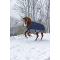equitheme-tyrex-600d-turnout-rug (5).jpg
