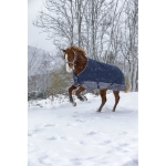 equitheme-tyrex-600d-turnout-rug (5).jpg