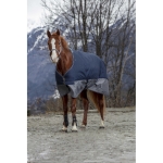 equitheme-tyrex-600d-turnout-rug (3).jpg