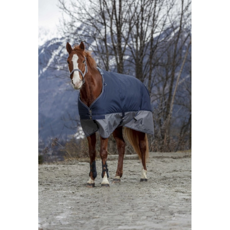 equitheme-tyrex-600d-turnout-rug (3).jpg