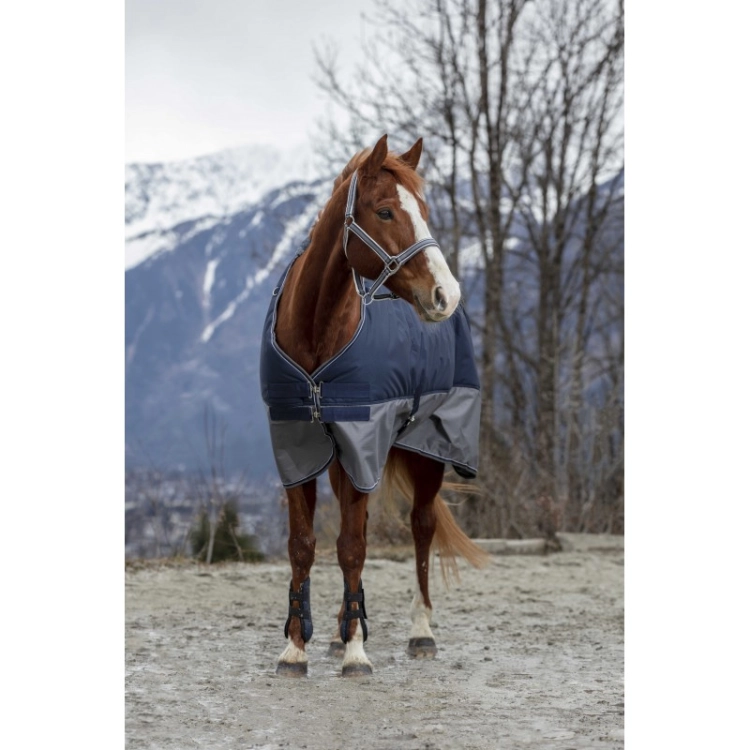 equitheme-tyrex-600d-turnout-rug (1).jpg