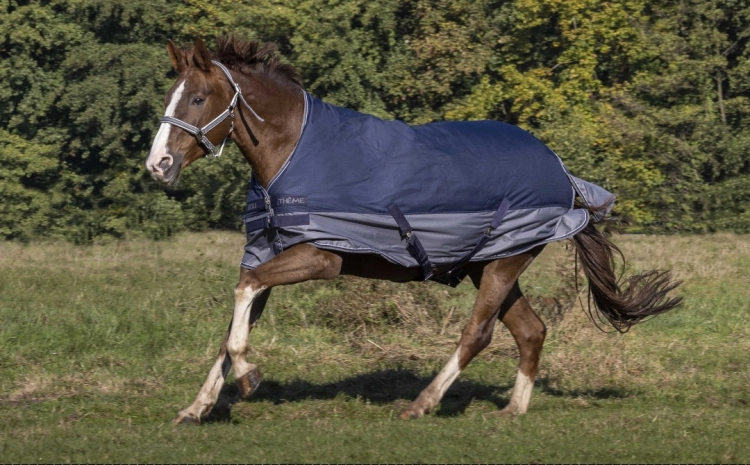 Derka padokowa Equi Theme TYREX 600 D