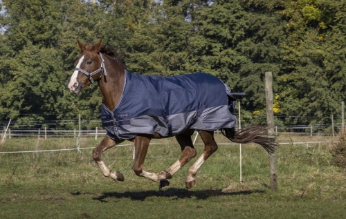 Derka padokowa Equi Theme TYREX 600 D