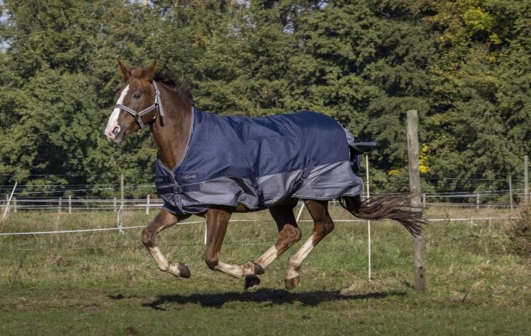 Derka padokowa Equi Theme TYREX 600 D