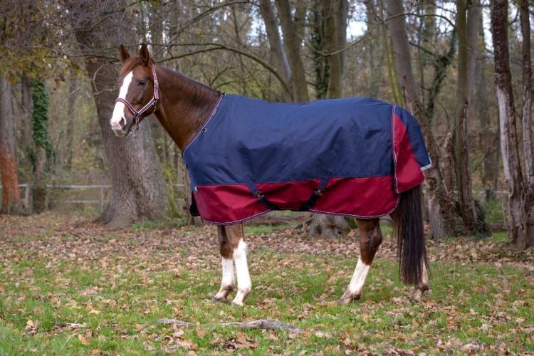 Derka padokowa Equi Theme TYREX