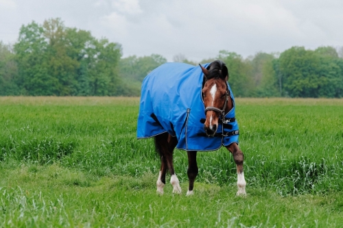 Derka padokowa Equi Theme Tyrex 1200D Aisance 0g