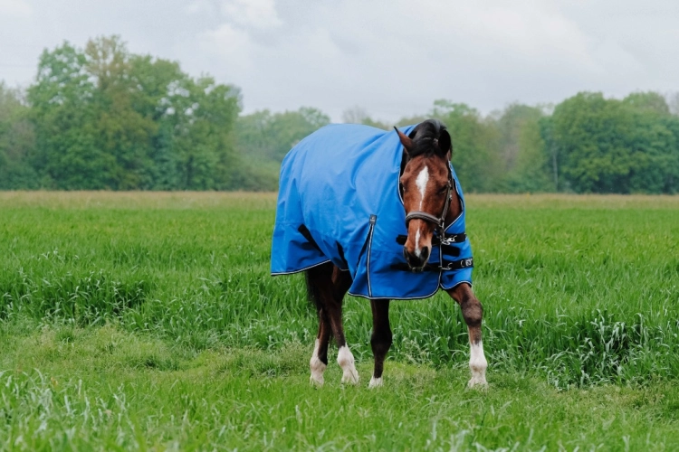 Derka padokowa Equi Theme Tyrex 1200D Aisance 300g high neck
