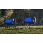 Derka padokowa Equi Theme Tyrex 1200D Aisance 0g
