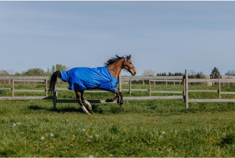 Derka padokowa Equi Theme Tyrex 1200D Aisance 50g