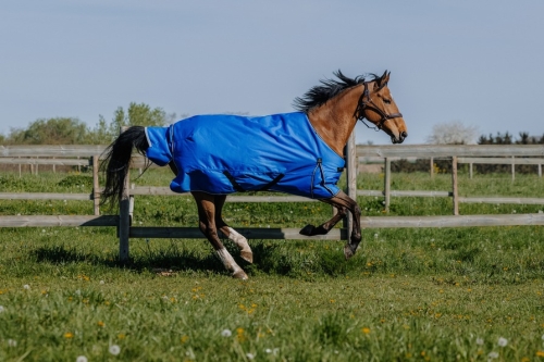 Derka padokowa Equi Theme Tyrex 1200D Aisance 150g
