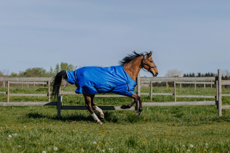 Derka padokowa Equi Theme Tyrex 1200D Aisance 300g