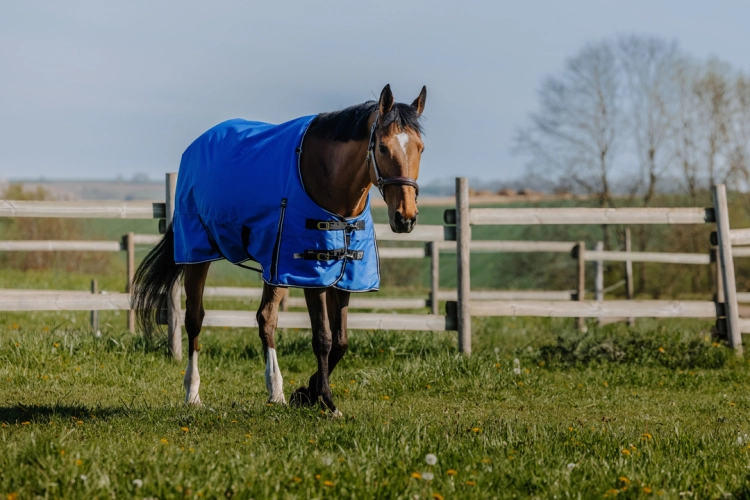 Derka padokowa Equi Theme Tyrex 1200D Aisance 300g