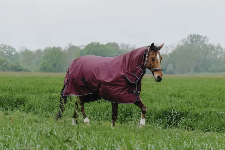 Derka padokowa z kapturem Equi Theme Tyrex 1200 D Combo 0g