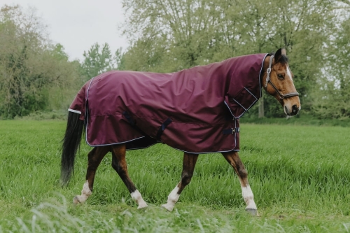 Derka padokowa z kapturem Equi Theme Tyrex 1200 D Combo 0g