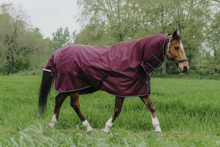 Derka padokowa z kapturem Equi Theme Tyrex 1200 D Combo 0g
