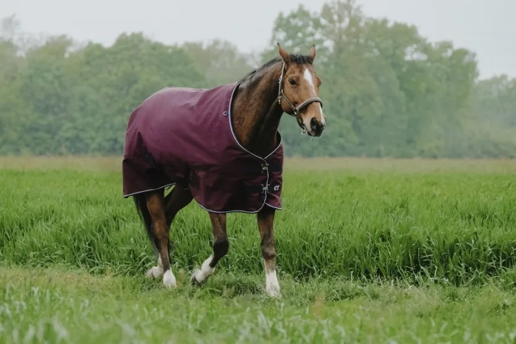 Derka padokowa Equi Theme Tyrex 1200D 150g