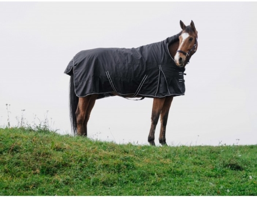 riding-world-oxford-derka-padoowa.jpg