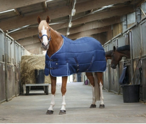 Derka-stajenna-Riding-World-Stable