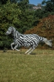 bucas-Buzz-Off Zebra Full Neck & Mask.jpg