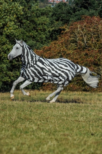 Derka siatkowa z kapturem Bucas Buzz Off Zebra Full Neck