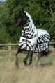 BUCAS-Buzz-Off-Rain-Zebra derka siatkowa dla konia przeciw owadom