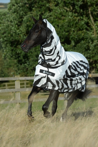 BUCAS-Buzz-Off-Rain-Zebra derka siatkowa dla konia przeciw owadom