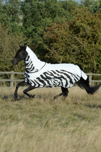 bucas-Buzz-Off-Rain-Zebra.jpg