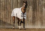 Derka siatkowa Equi Theme