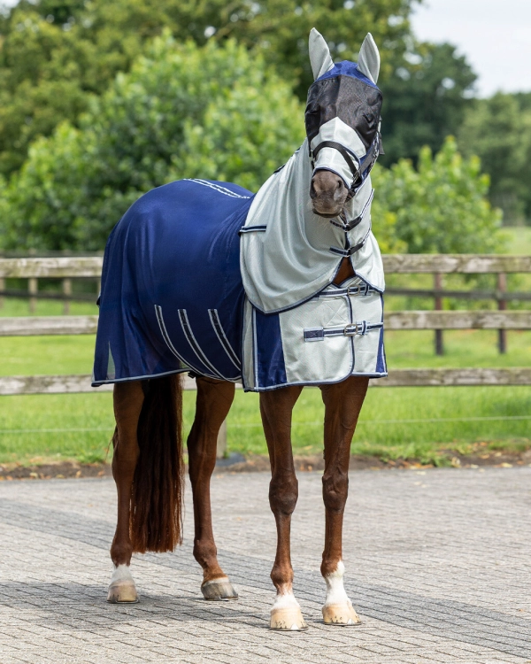 Derka siatkowa z kapturem i maską QHP Anti Fly blue